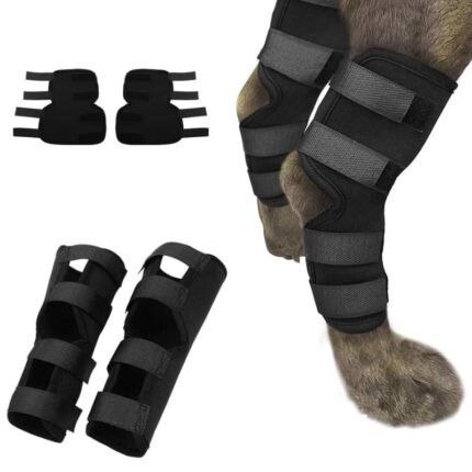 frenchie space french bulldog patellar luxation brace