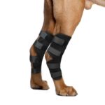 frenchie space french bulldog patellar luxation brace