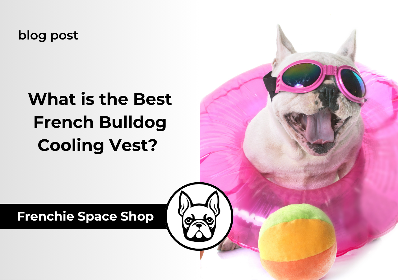 french bulldog summer cooling vest