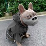 frenchie space shop anti-allergy french bulldog muzzle