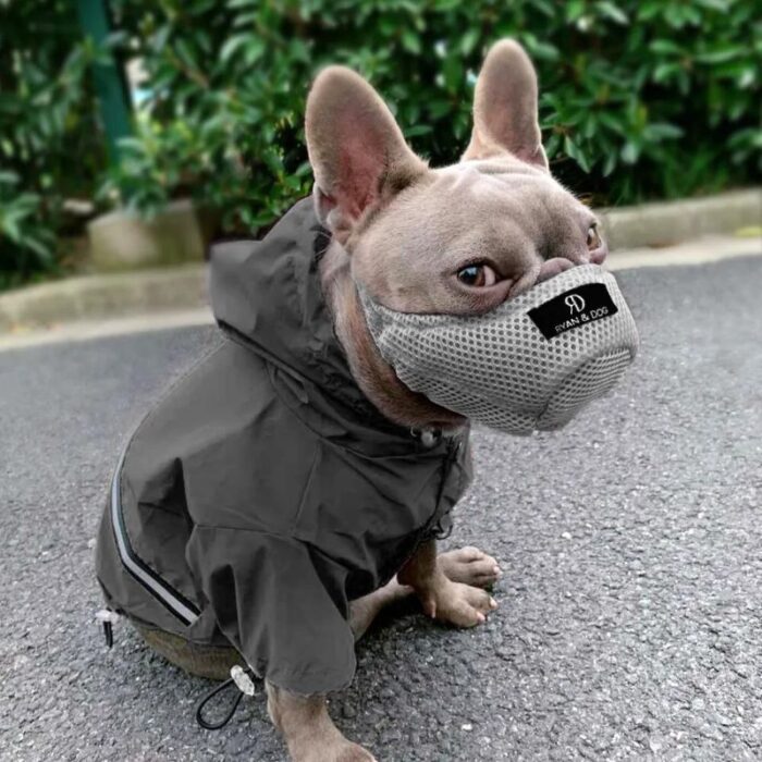 frenchie space shop anti-allergy french bulldog muzzle