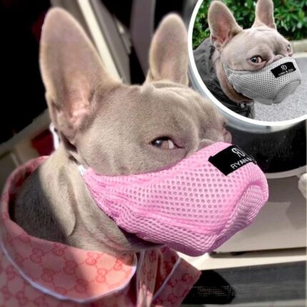 frenchie space shop anti-allergy french bulldog muzzle