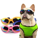 frenchie space shop fench bulldog uv sunglasses
