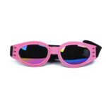 frenchie space shop fench bulldog uv sunglasses
