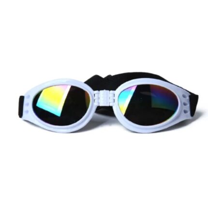frenchie space shop fench bulldog uv sunglasses