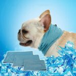frenchie space shop french bulldog cooling bandana