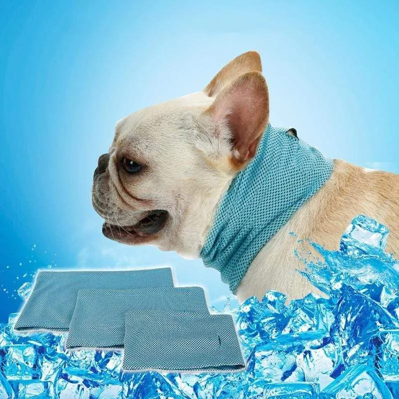 frenchie space shop french bulldog cooling bandana
