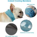 frenchie space shop french bulldog cooling bandana