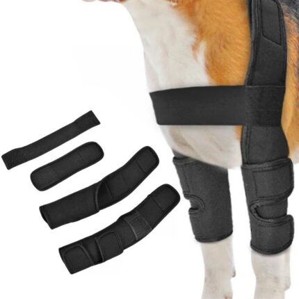 frenchie space shop french bulldog knee brace