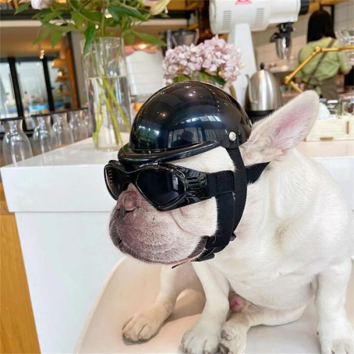 frenchie space shop french bulldog safety helmet