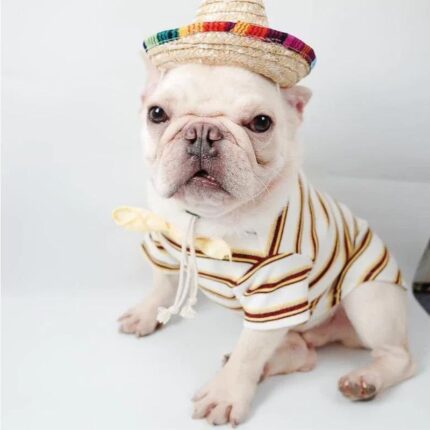 French Bulldog Sombrero Hat