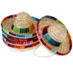 frenchie space shop french bulldog sombrero hat