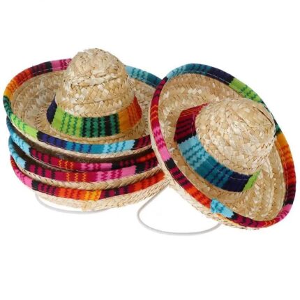 frenchie space shop french bulldog sombrero hat