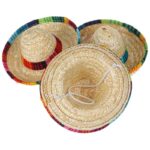 frenchie space shop french bulldog sombrero hat