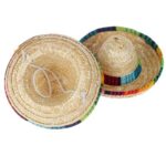 frenchie space shop french bulldog sombrero hat