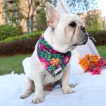 frenchie space shop french bulldog summer bandana