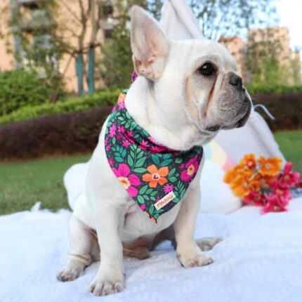 frenchie space shop french bulldog summer bandana