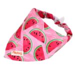frenchie space shop french bulldog summer bandana