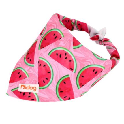 frenchie space shop french bulldog summer bandana