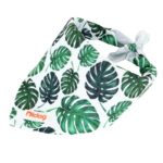 frenchie space shop french bulldog summer bandana
