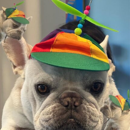 frenchie space shop french bulldog sunproof cap