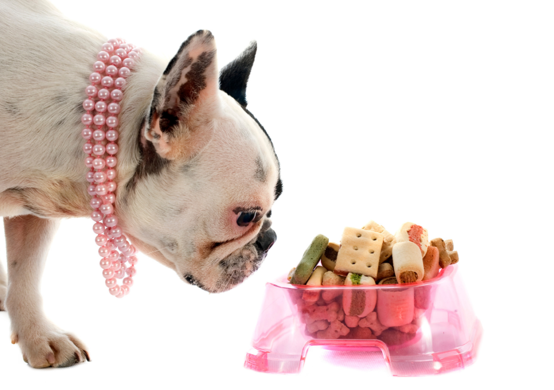 frenchie farts