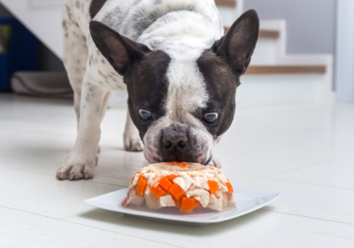 diet for a frenchie