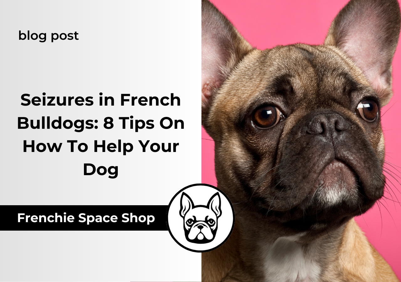 french bulldog epilepsy