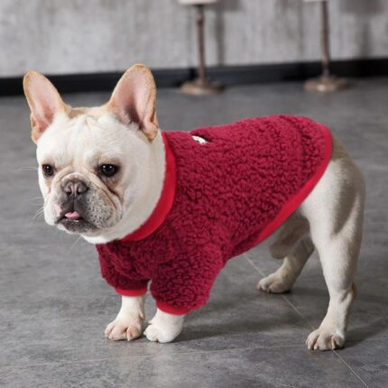 frenchie space shop cozy cloud frenchie jacket