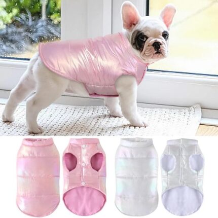 frenchie space shop pearly french bulldog vest