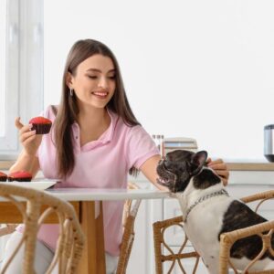 frenchie space french bulldog throwing up