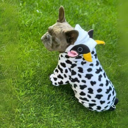 cow french bulldog costume