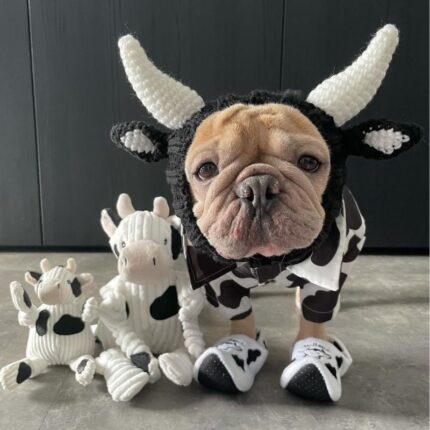 cow french bulldog hat