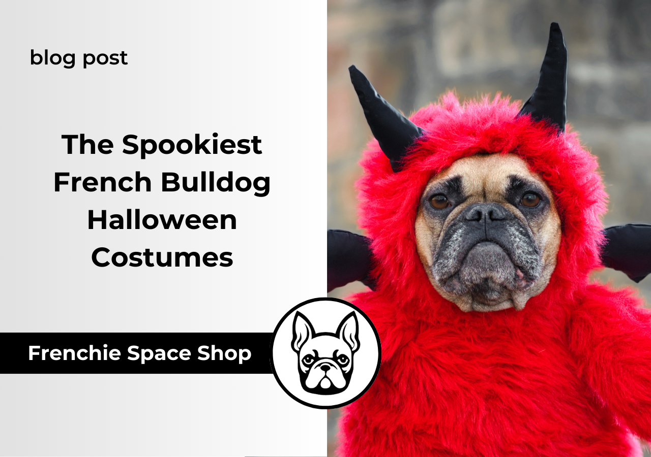 french bulldog halloween costumes