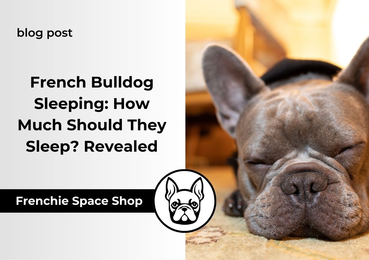 sleeping time of a frenchie