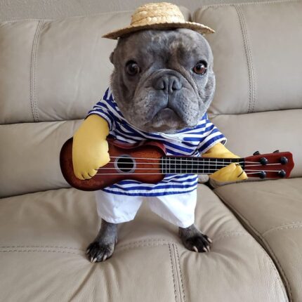 guitar player frenchie costume