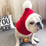 french bulldog christmas snood
