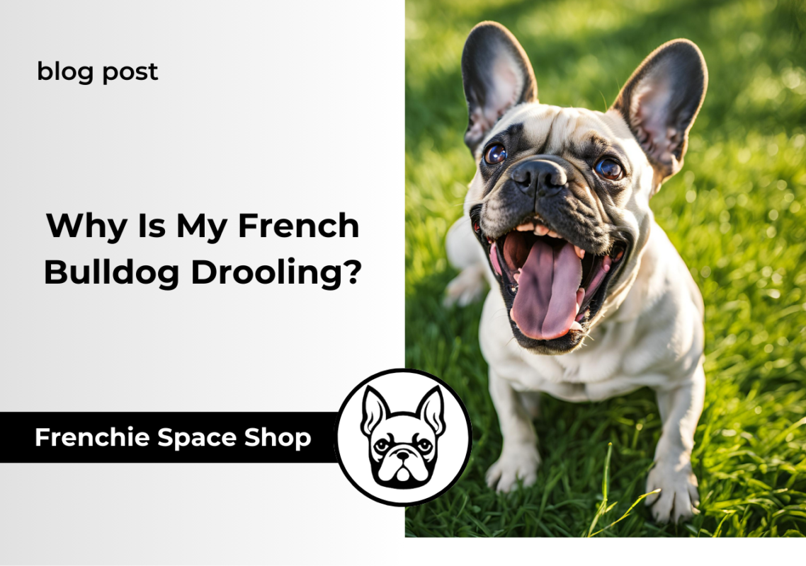 french bulldog drooling frenchie space