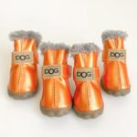 french bulldog winter boots