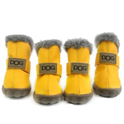 french bulldog winter boots
