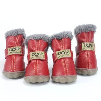 french bulldog winter boots