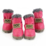 french bulldog winter boots