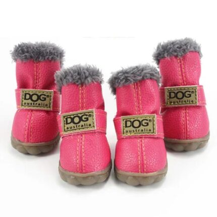 french bulldog winter boots