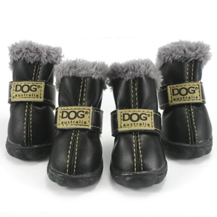 french bulldog winter boots