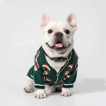 french bulldog teddy cardigan