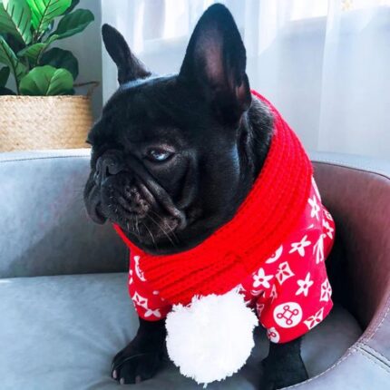 frenchie space shop french bulldog winter scarf