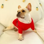frenchie space shop santa frenchie sweater