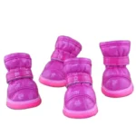 snow french bulldog boots