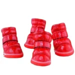 snow french bulldog boots