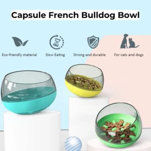 capsule french bulldog bowl